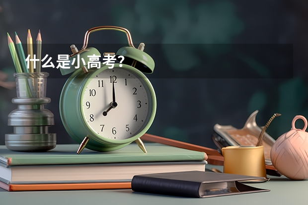 什么是小高考？