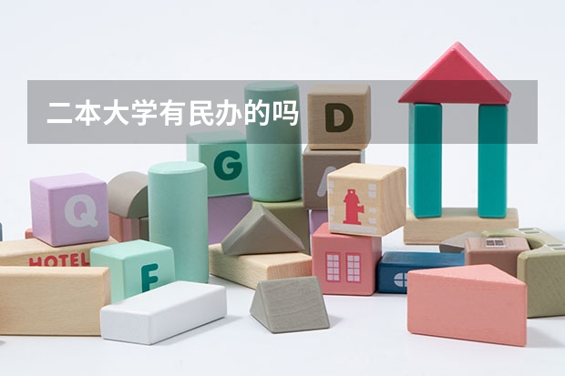 二本大学有民办的吗