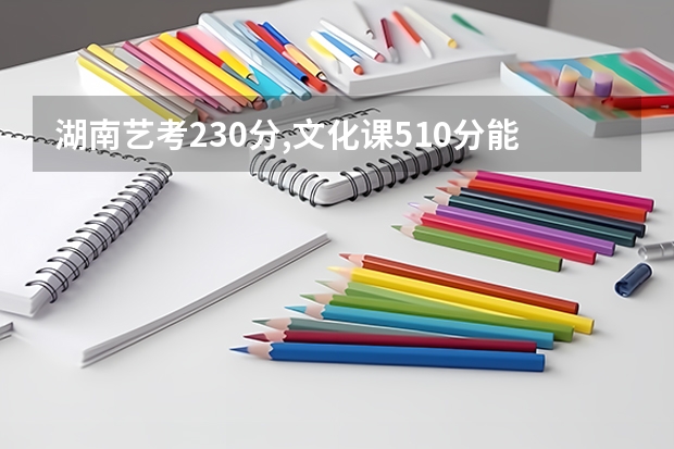 湖南艺考230分,文化课510分能上什么大学如果有这个分,想报考外省的美术生?