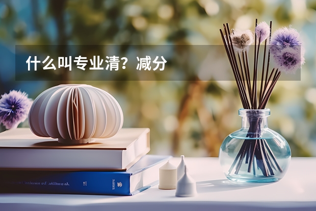 什么叫专业清?减分