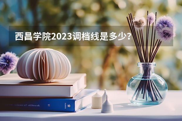 西昌学院2023调档线是多少？