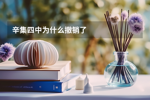 辛集四中为什么撤销了