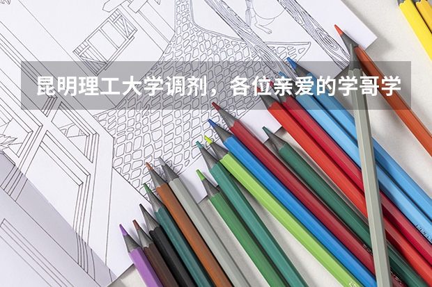 昆明理工大学调剂，各位亲爱的学哥学姐，求帮助（昆明理工大学计算机调剂最低分）