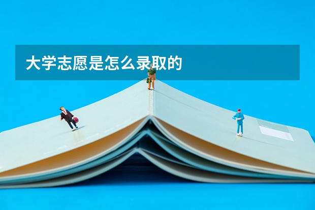 大学志愿是怎么录取的
