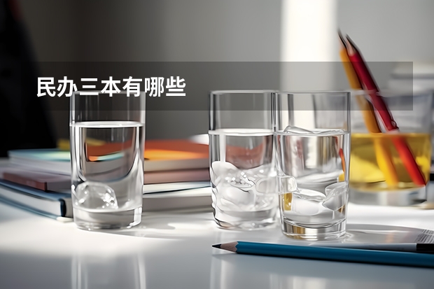 民办三本有哪些