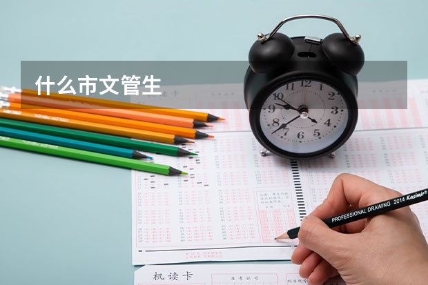 什么市文管生