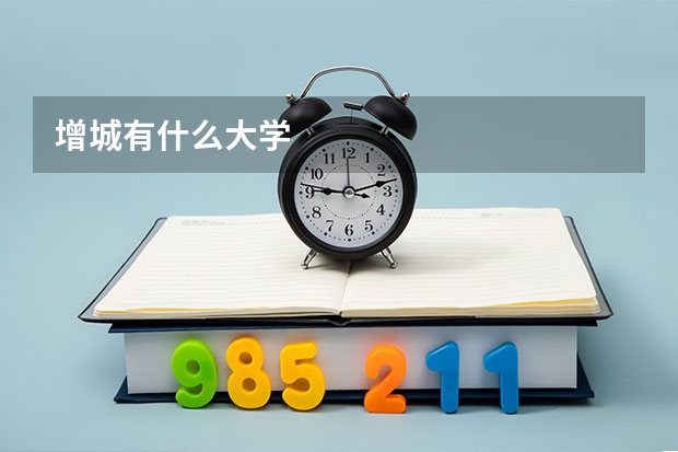 增城有什么大学