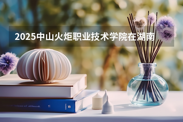 2025中山火炬职业技术学院在湖南的招生情况介绍