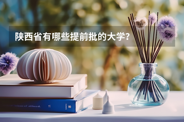 陕西省有哪些提前批的大学？