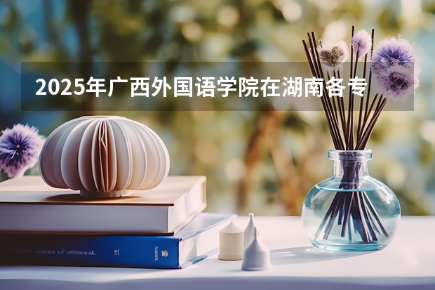 2025年广西外国语学院在湖南各专业都招多少人