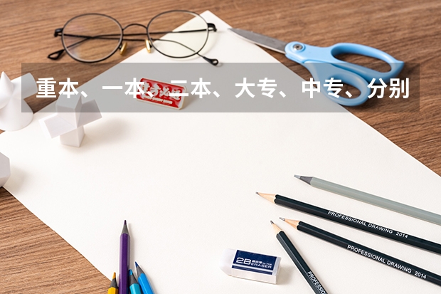重本、一本、二本、大专、中专、分别是指什么意思、按高低排列大专属什么程度?
