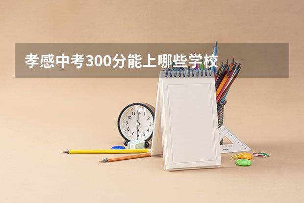 孝感中考300分能上哪些学校
