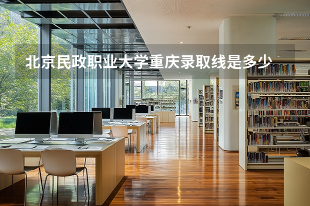 北京民政职业大学重庆录取线是多少