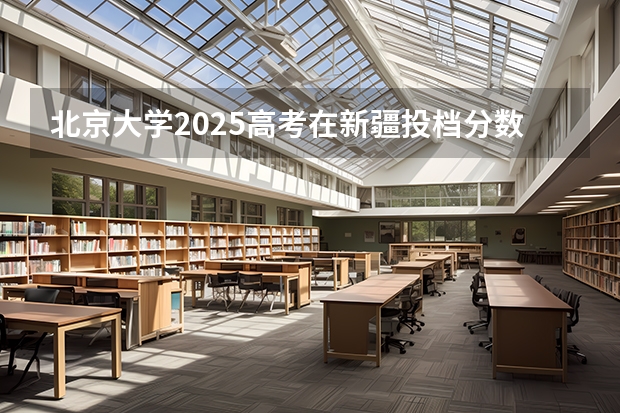 北京大学2025高考在新疆投档分数线