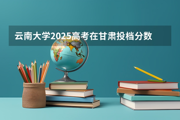 云南大学2025高考在甘肃投档分数线
