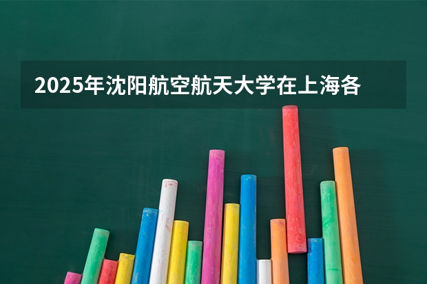 2025年沈阳航空航天大学在上海各专业都招多少人