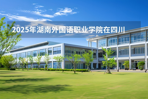 2025年湖南外国语职业学院在四川各专业都招多少人