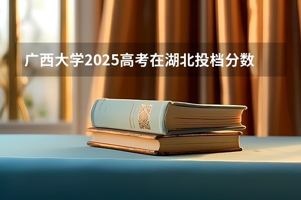 广西大学2025高考在湖北投档分数线