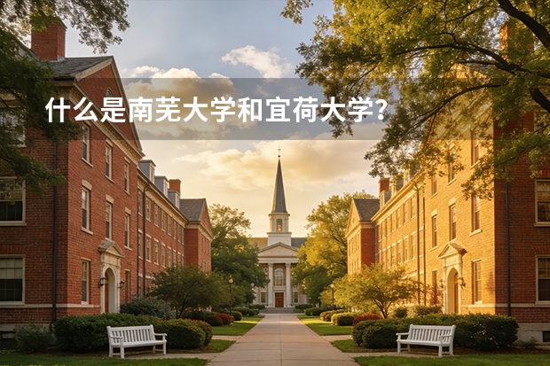 什么是南芜大学和宜荷大学？