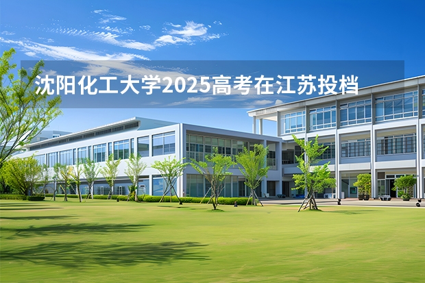 沈阳化工大学2025高考在江苏投档分数线