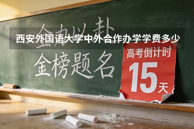 西安外国语大学中外合作办学学费多少钱一年