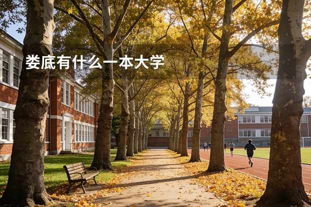 娄底有什么一本大学