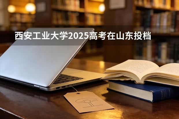 西安工业大学2025高考在山东投档分数线