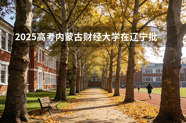 2025高考内蒙古财经大学在辽宁批次选科要求有哪些