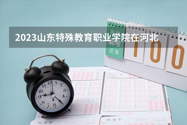 2023山东特殊教育职业学院在河北高考专业招生计划人数