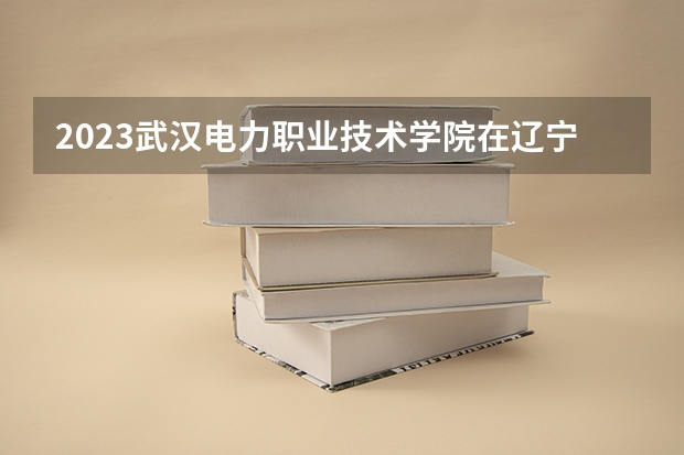 2023武汉电力职业技术学院在辽宁高考专业招生计划人数