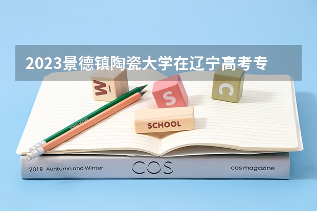 2023景德镇陶瓷大学在辽宁高考专业招生计划人数
