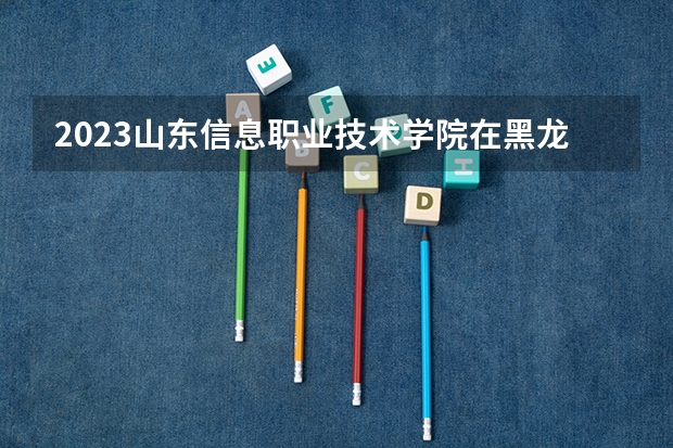 2023山东信息职业技术学院在黑龙江高考专业招生计划人数