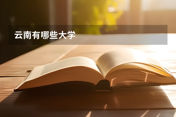 云南有哪些大学