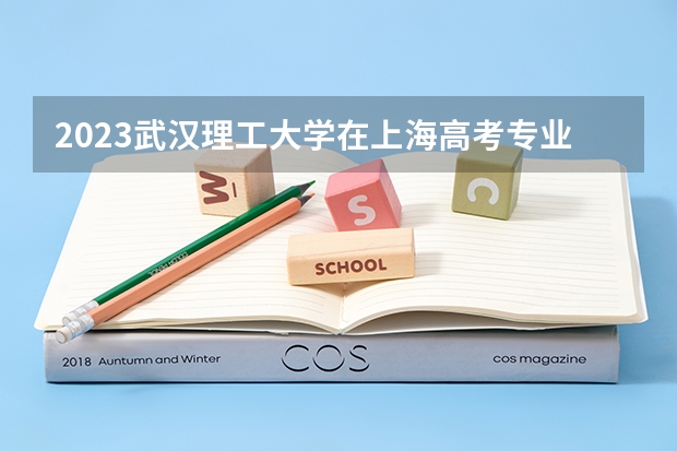 2023武汉理工大学在上海高考专业招生计划人数