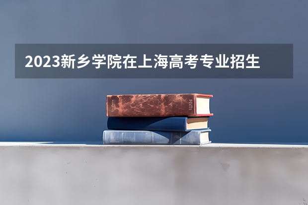 2023新乡学院在上海高考专业招生计划人数