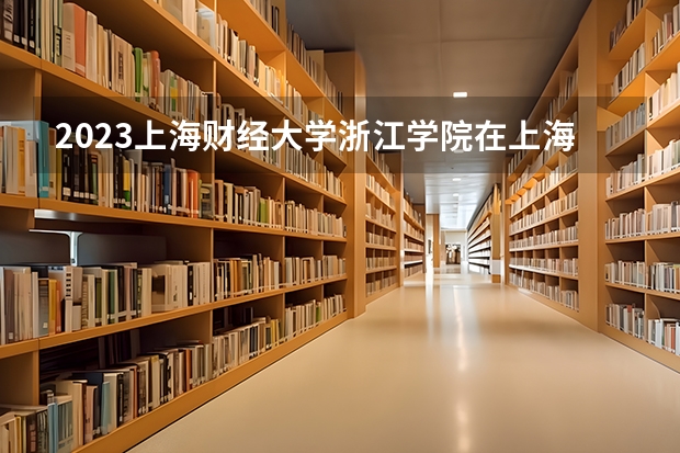 2023上海财经大学浙江学院在上海高考专业招生计划人数