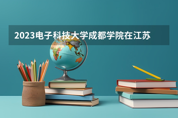 2023电子科技大学成都学院在江苏高考专业招生计划人数