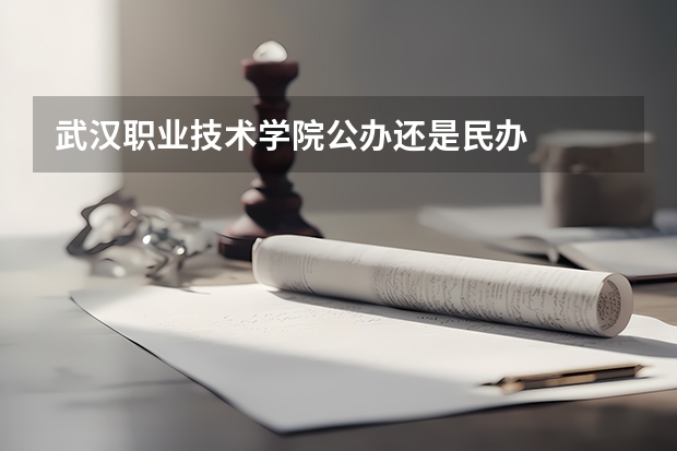 武汉职业技术学院公办还是民办