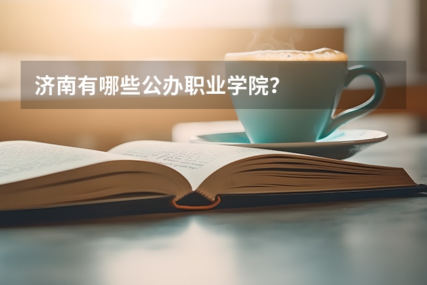 济南有哪些公办职业学院？