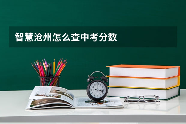 智慧沧州怎么查中考分数