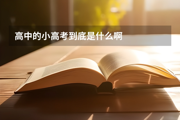 高中的小高考到底是什么啊