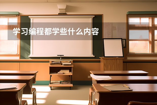 学习编程都学些什么内容