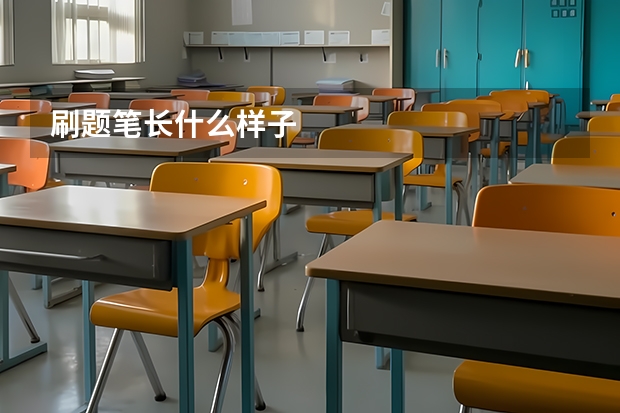 刷题笔长什么样子
