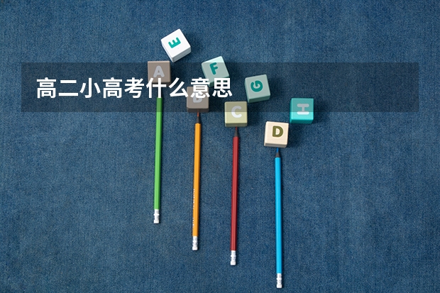 高二小高考什么意思