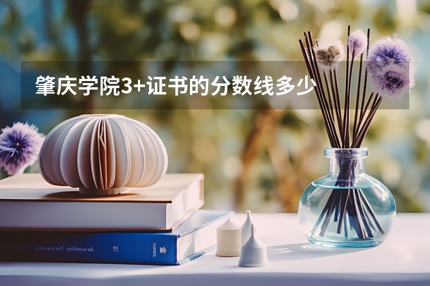 肇庆学院3+证书的分数线多少