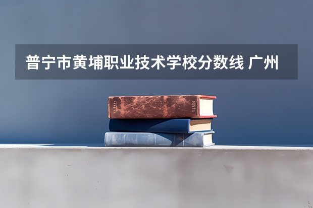 普宁市黄埔职业技术学校分数线 广州市黄埔区职业技术学校去年招生分数线