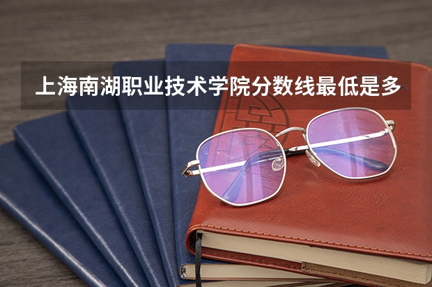 上海南湖职业技术学院分数线最低是多少