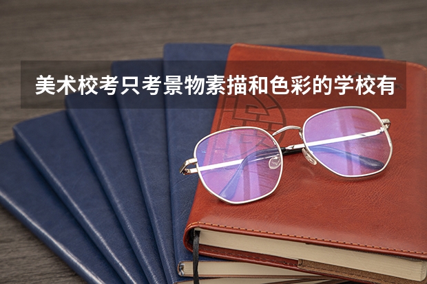 美术校考只考景物素描和色彩的学校有哪些??