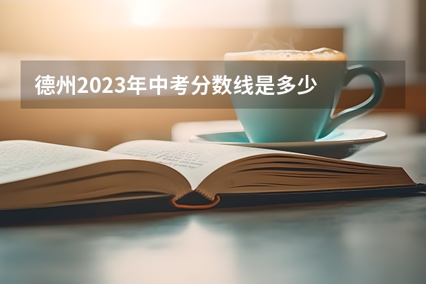 德州2023年中考分数线是多少