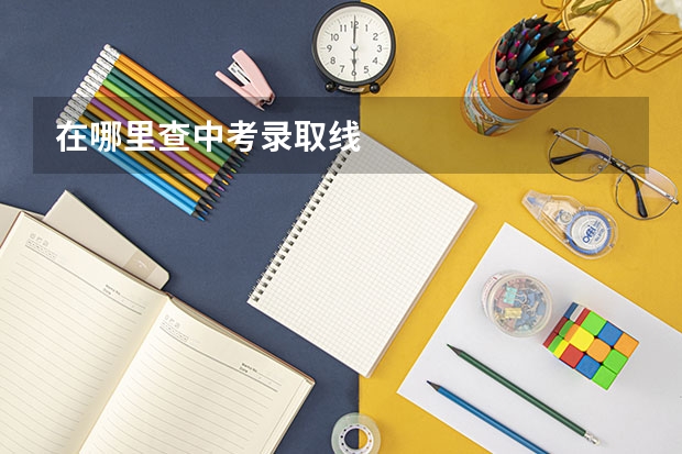 在哪里查中考录取线